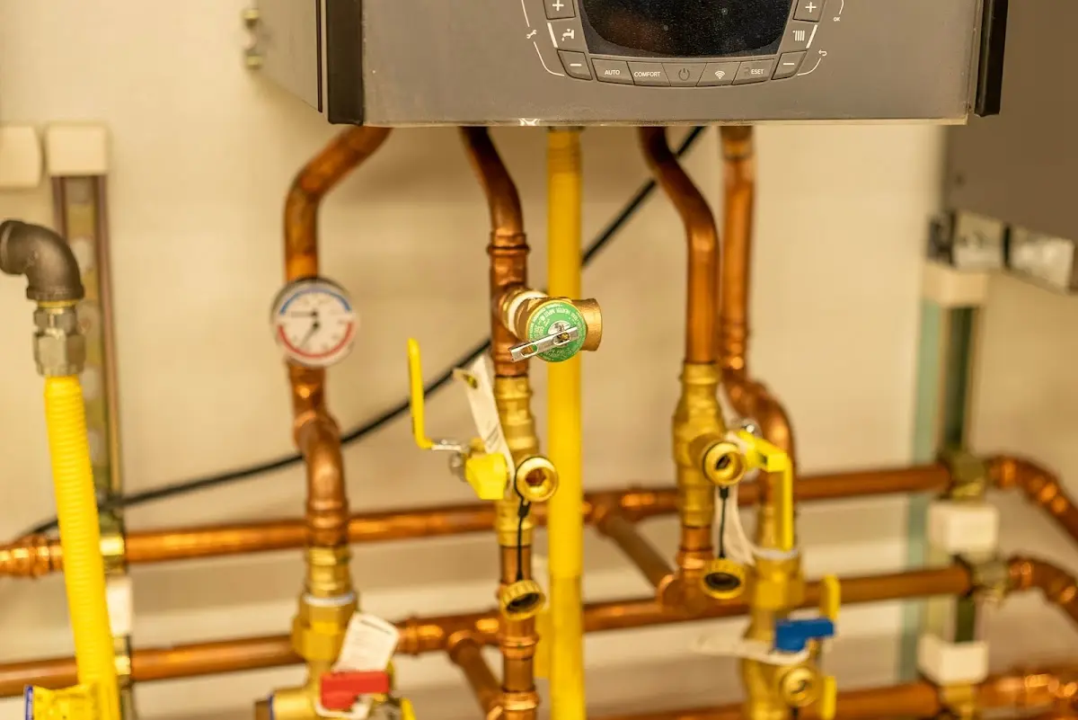 Licensed technician providing Sewer Cleanout for a homeowner in Denmark